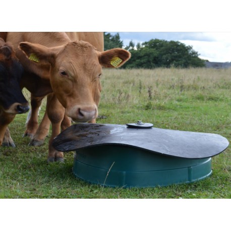 Podajnik paszy trzykomorowy