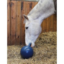 Piłka dla koni