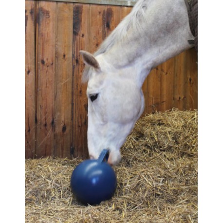 Piłka dla koni